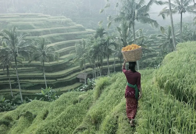 Bezpieczeństwo w Indonezji: realne zagrożenia dla turystów i jak ich unikać