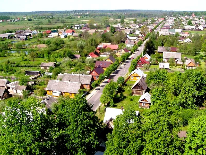 Gdzie smakuje Białowieża? Sprawdzone dania regionalne i ich ceny