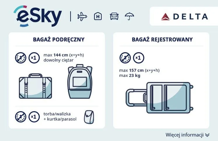Ile kosztuje bagaż rejestrowany do USA i jak uniknąć wysokich opłat