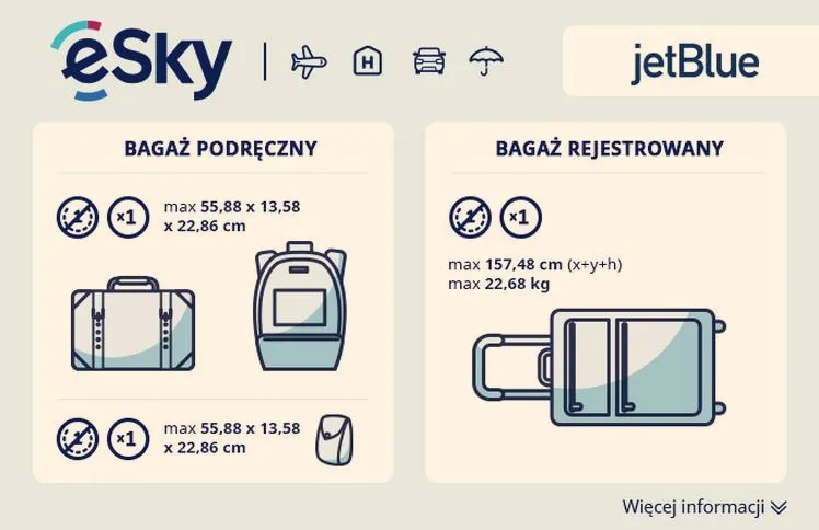 Ile maksymalnie waży bagaż rejestrowany — limity i zasady