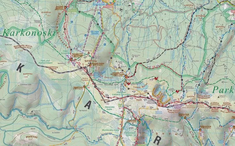 Odkryj zachwycające smaki potraw regionalnych Karkonoszy