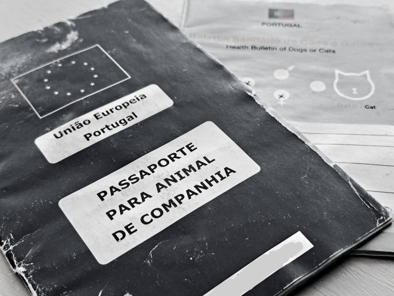 Paszport do Portugalii – kiedy dowód osobisty nie wystarczy?