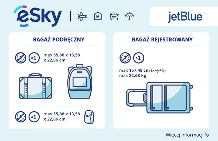 Bagaż rejestrowany do USA