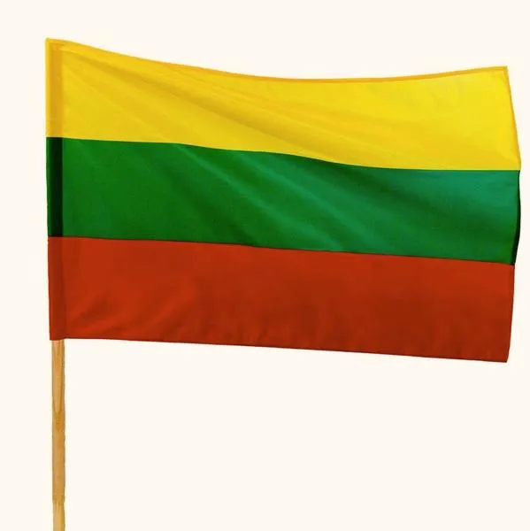 Bezpieczeństwo na Litwie