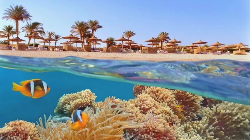 Bezpieczeństwo turystów w Sharm el Sheikh
