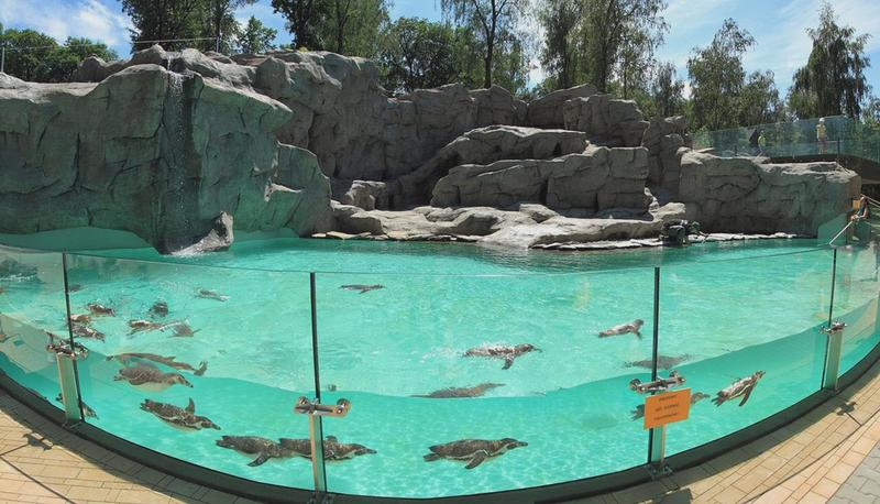 Dojazd do zoo w Krakowie