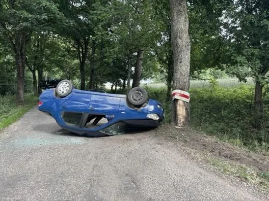 Kierowca po alkoholu