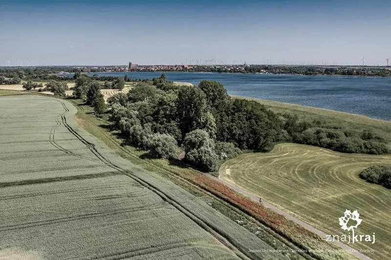 Malowniczy park jeziorny