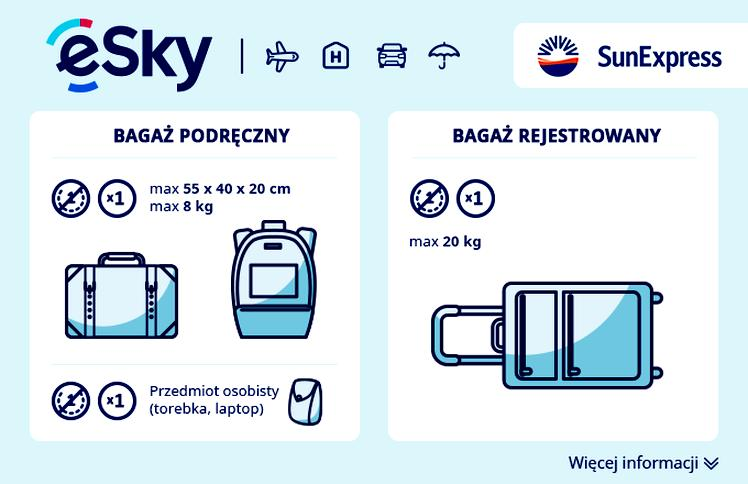Przepisy dotyczące bagażu rejestrowanego