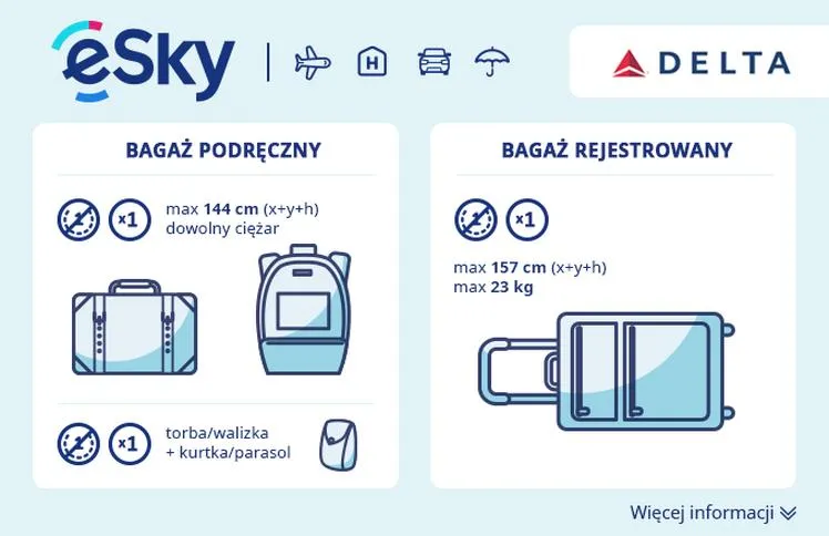 Przewóz bagażu w liniach lotniczych